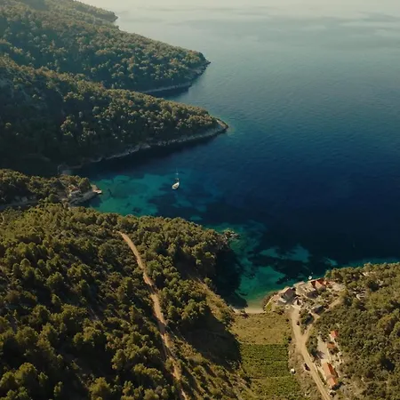 Villa La Bleue Secluded Hvar House Zastrazisce